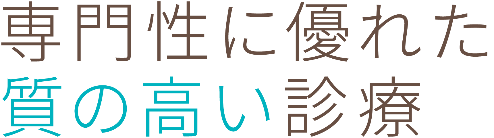 専門性に優れた質の高い診療